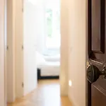Sinonda Luxury Maiori
