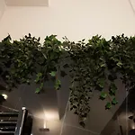 Apartment Sinonda Luxury